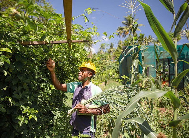 Unveil marine wonders with our marine experts