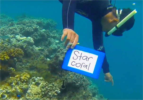 Enjoy gentle island breezes through screened louvres, revealing panoramic views of verdant foliage and vibrant blooms